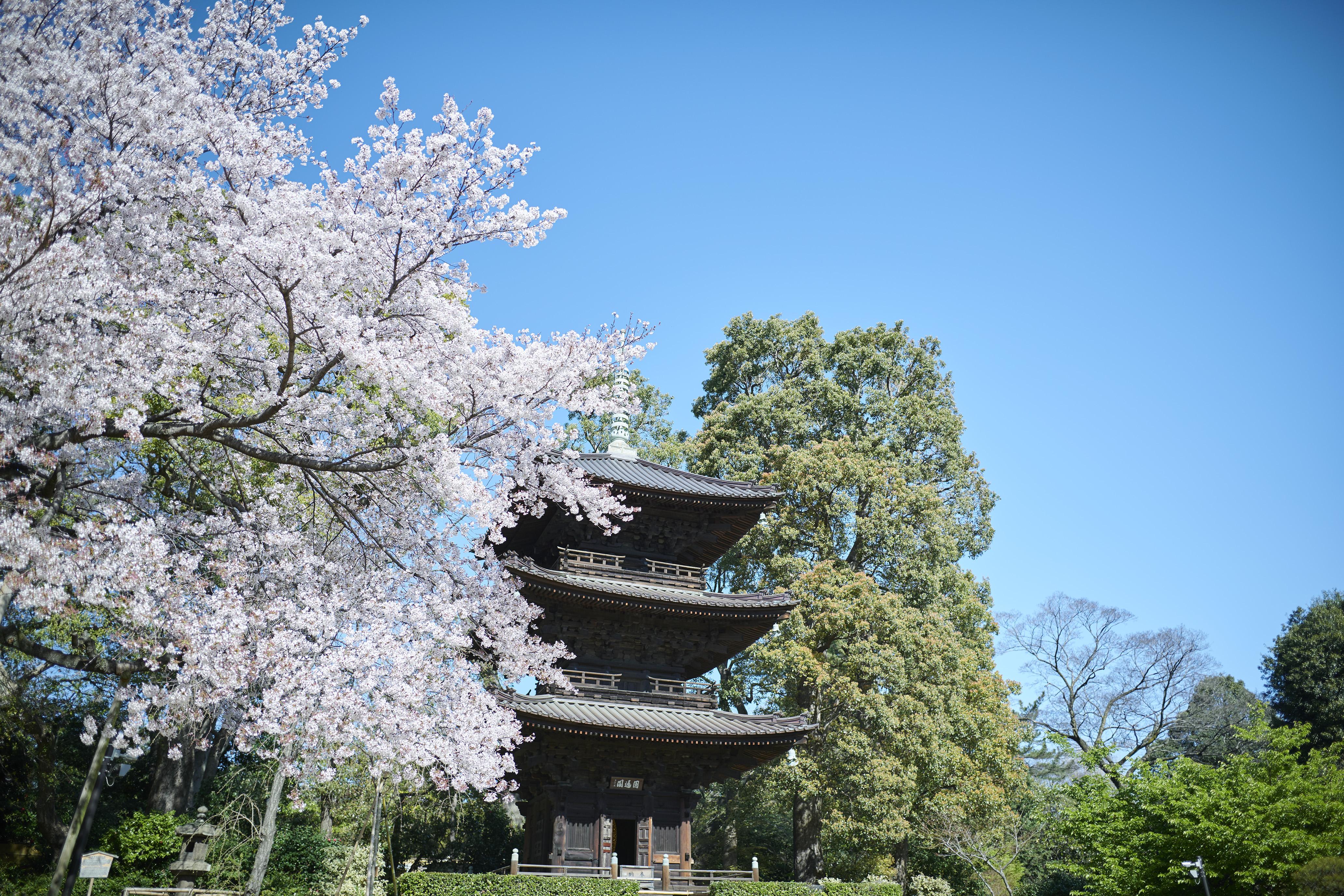 Hotel Chinzanso Tokio Exterior foto